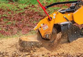How Our Tree Care Process Works  in  Newport, OR